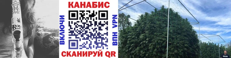 Где найти наркотики Аша А ПВП  Меф мяу мяу  Амфетамин  Бошки Шишки 