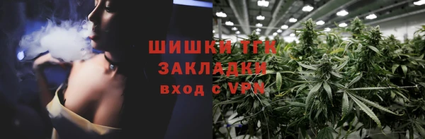 гидра Арсеньев