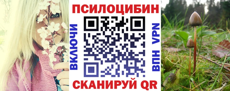 Галлюциногенные грибы MAGIC MUSHROOMS  где можно купить   Аша 