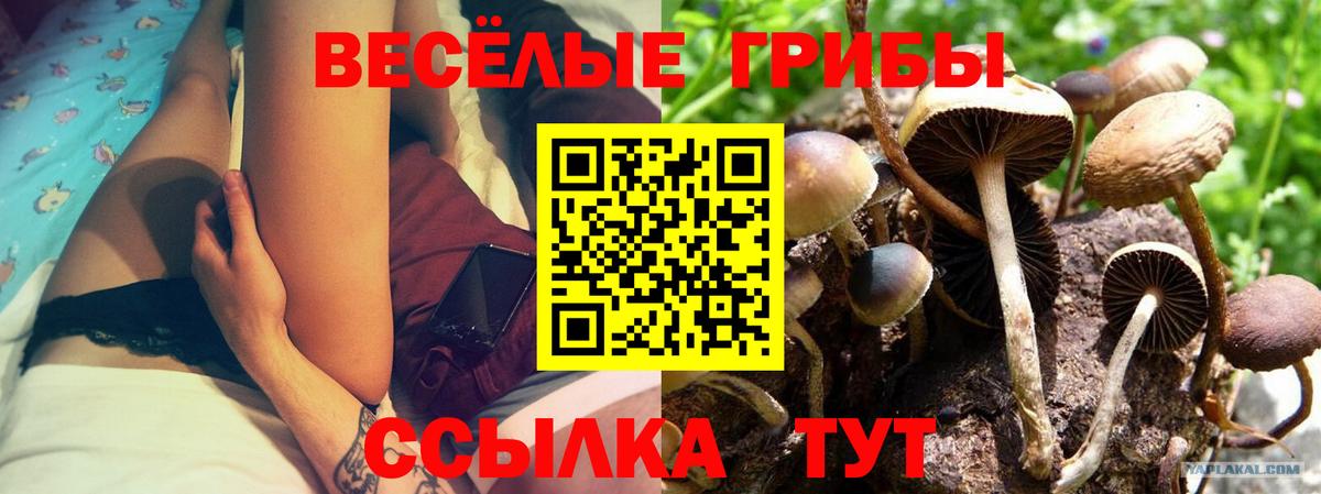 Галлюциногенные грибы Magic Shrooms  Вход с VPN  Аша 