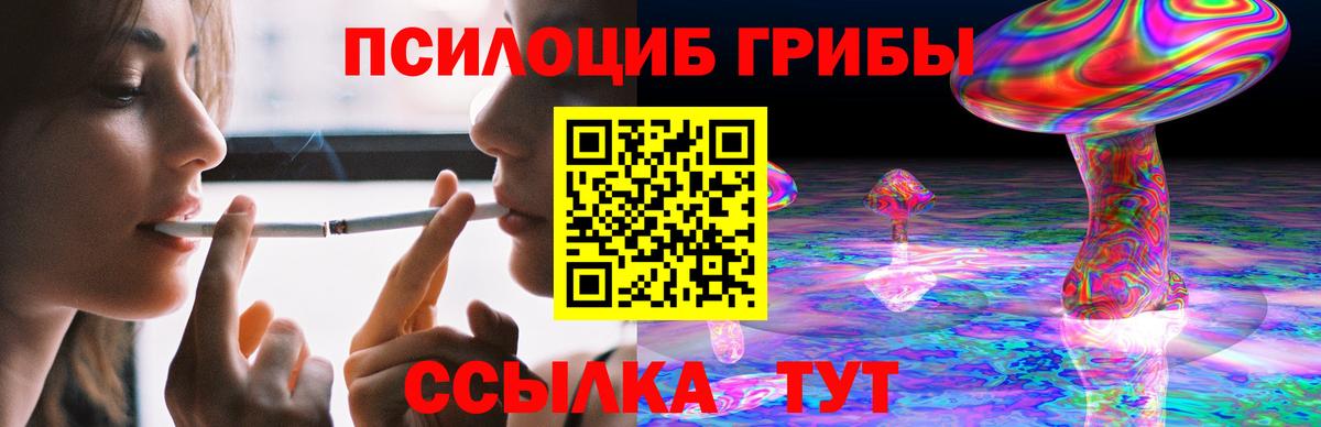 Псилоцибиновые грибы Psilocybine cubensis Аша